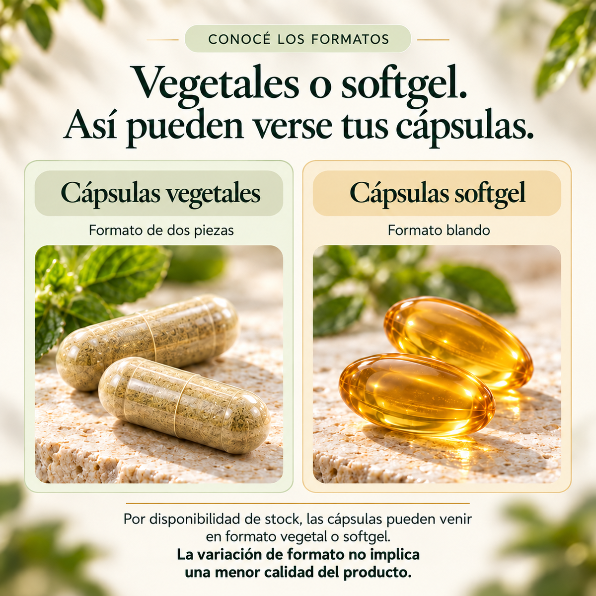 Oréa · Aceite de Orégano + Comino Negro · 60 cápsulas